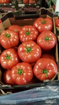 Sprzedam pomidory malinowe Polskie cena 44 zł oraz pomidory czerwone Polskie cena 35 zł