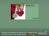 Nasiona buraka czerwonego RODITI RZ F1 firmy Rijk Zwaan oferuje GEPWEG dystrybutor nasion. Dostawa gratis. Płatność przy odbiorze....