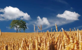 Manifest rolników: Przywrócenie rolnictwu strategicznego znaczenia